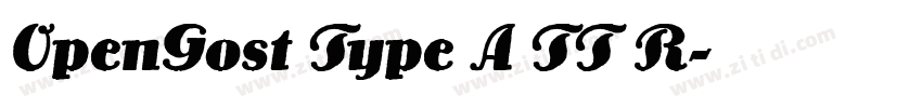 OpenGost Type A TT R字体转换